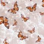 BuTtErFlY ARMYyYyY slay