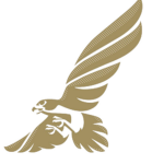 Gulf Air Virtual || GF