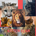 THE KITTEN CLAN -