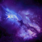Astronaut turtles