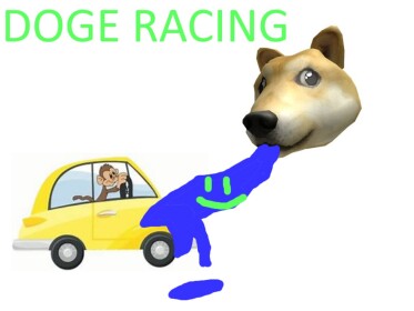 Doge Racing 