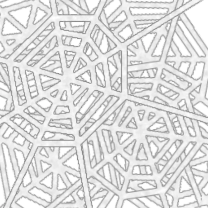 Spider Webs