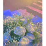 White Rose Closet