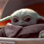 The Official Baby Yoda Squad