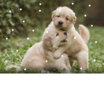 A HUG