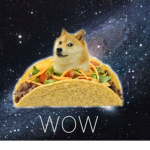 Doge Guards
