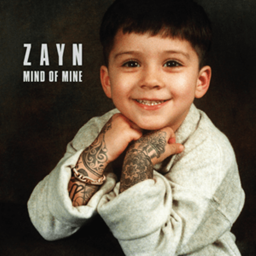 church of zayn malik