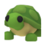 Turtles Habitat