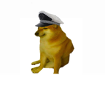 MangoMelon Head