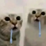 Chi'kos