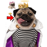 Pugeypug
