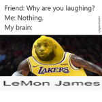 Ask any questions
