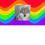 RainBow Wolf Clan