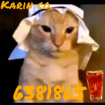Karin co.
