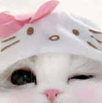 s i s u