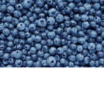Blueberry mans cult