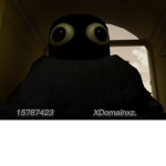 Xdomainz