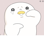 란란루그룹