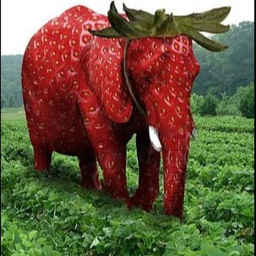 climb into strawberry elephant