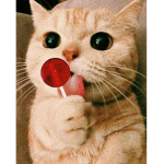 OreoReoOreOreoReReRe