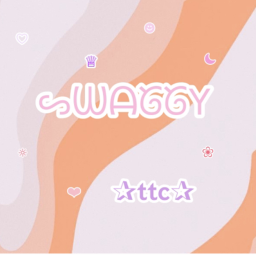 Swaggy ttc