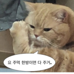 ㅇㅁㅇ?