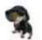 Templ8