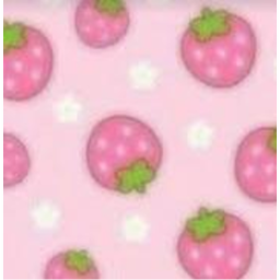 🍓‧+˚☆ 彡
