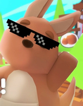 die coole Adopt me Spieler