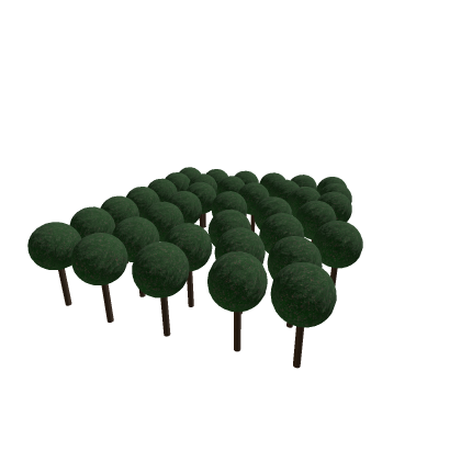 VERY BASIC TREE FOREST