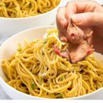 The noodle doodle society