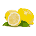 Citrus Organization