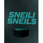SS groupe for ROBLOX Army
