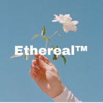 ｅｔｈｅｒｅａｌ （囲ユ扱）
