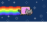 Rainbow Fancy group