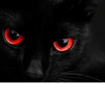 Red and black Fan Club