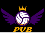 PVB 4.2 Volleyball