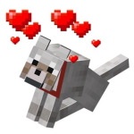 Animals Studio Love