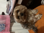 Reby_Group