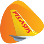 pegasus airlines group | roblox