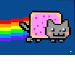 Space cats TEAM