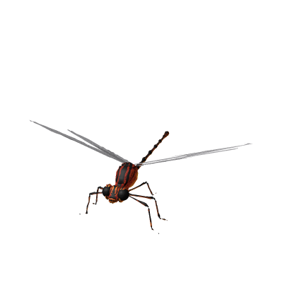 [RIG] Flapping DragonFly