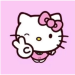 sanrio friendsies!
