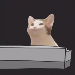 _catclub_