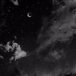 NightxFall