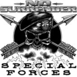 Raid Force