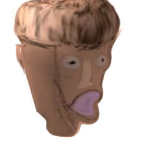 human evolution
