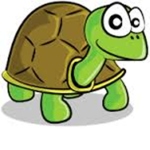 Tortoise and Turtle Club