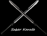 Saber Karate Dojo