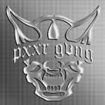 . p x x r g v n g